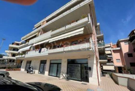 appartamento in vendita a Grottammare