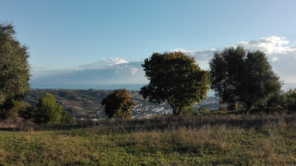 terreno agricolo in vendita a Grottammare