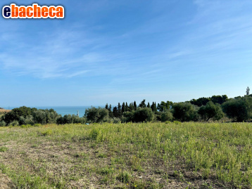 terreno agricolo in vendita a Grottammare