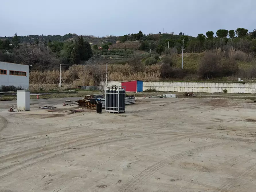 immagine annuncio 0 di 6