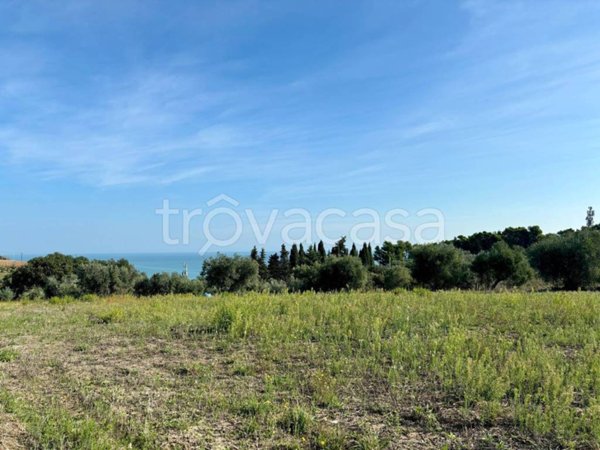 terreno agricolo in vendita a Grottammare
