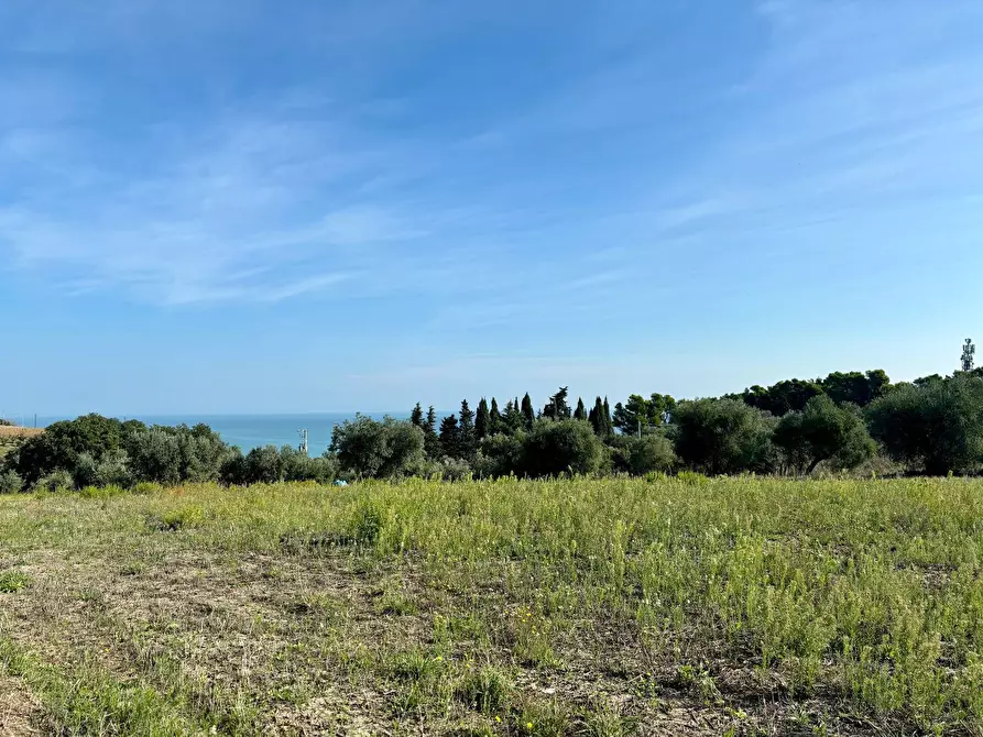 terreno agricolo in vendita a Grottammare