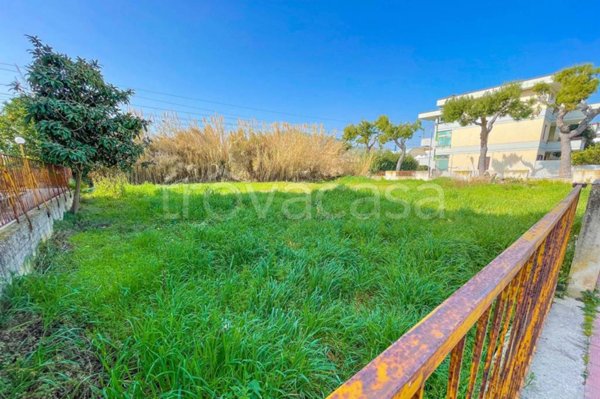 terreno agricolo in vendita a Grottammare