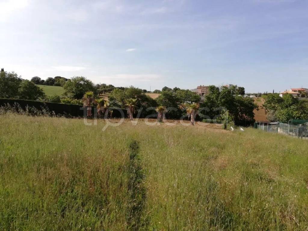 terreno agricolo in vendita a Grottammare