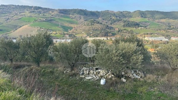 casa indipendente in vendita a Grottammare