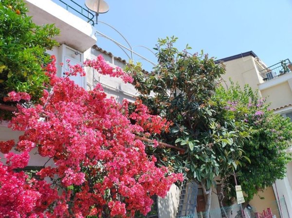 appartamento in vendita a Grottammare