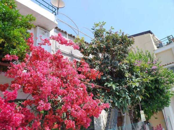 casa indipendente in vendita a Grottammare