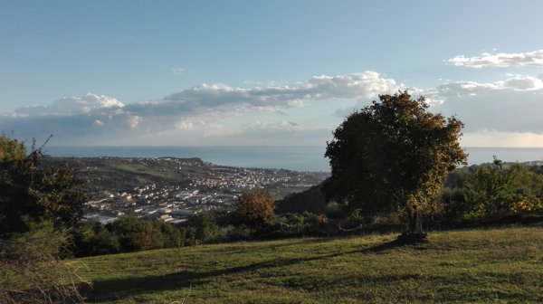 terreno agricolo in vendita a Grottammare