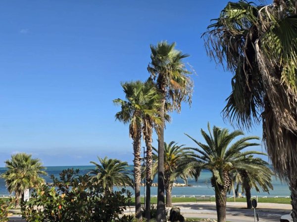 negozio in vendita a Grottammare