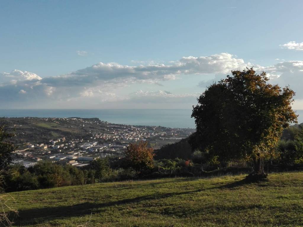 terreno agricolo in vendita a Grottammare