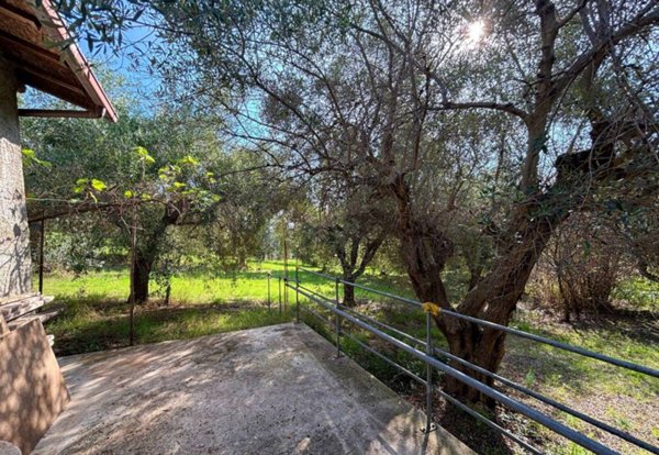 terreno agricolo in vendita a Grottammare