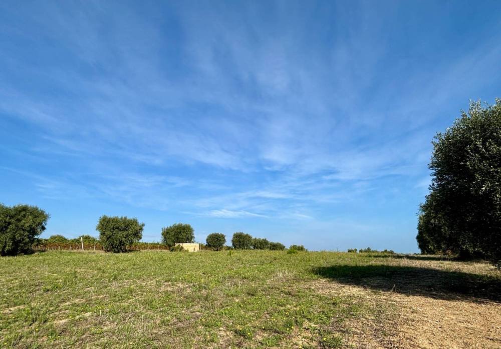 terreno agricolo in vendita a Grottammare