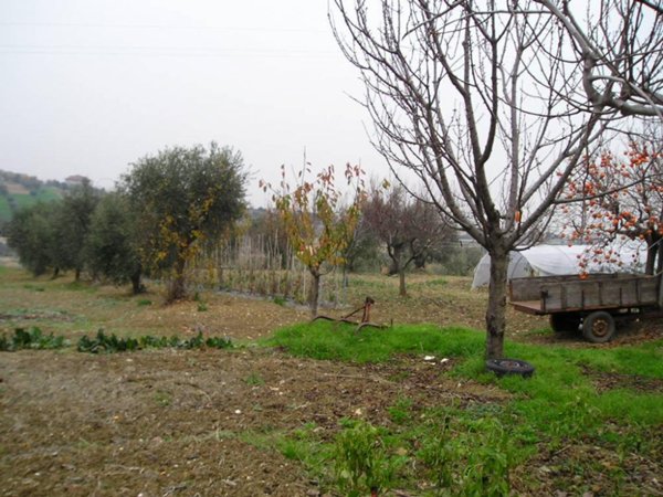 casa indipendente in vendita a Grottammare