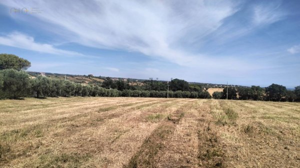 terreno agricolo in vendita a Grottammare