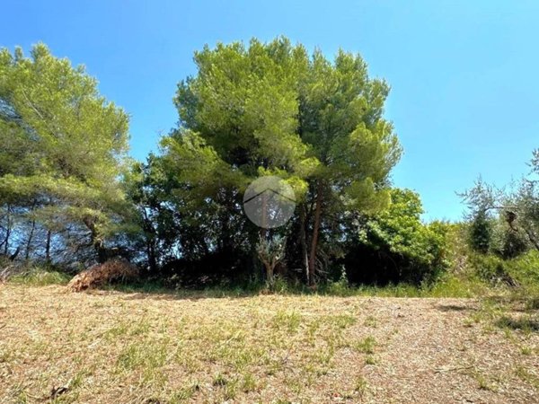 terreno agricolo in vendita a Grottammare