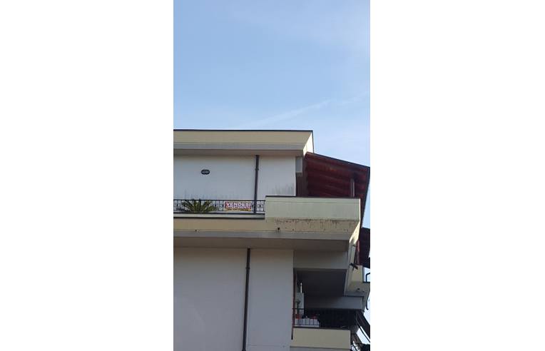 appartamento in vendita a Maltignano