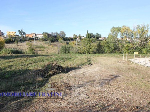 terreno agricolo in vendita a Maltignano