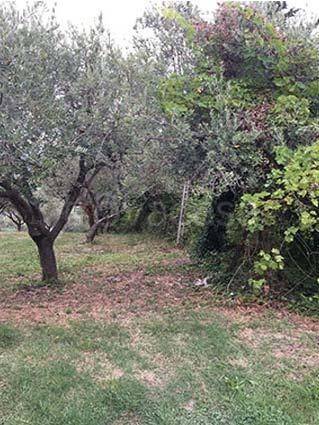 monolocale in vendita a Maltignano