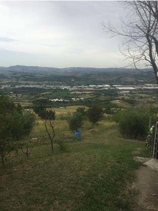 appartamento in vendita a Maltignano