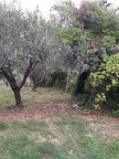appartamento in vendita a Maltignano