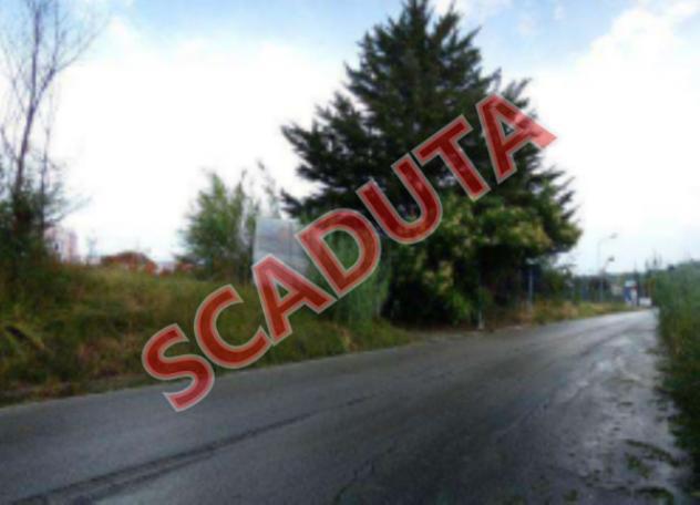 terreno agricolo in vendita a Maltignano in zona Caselle