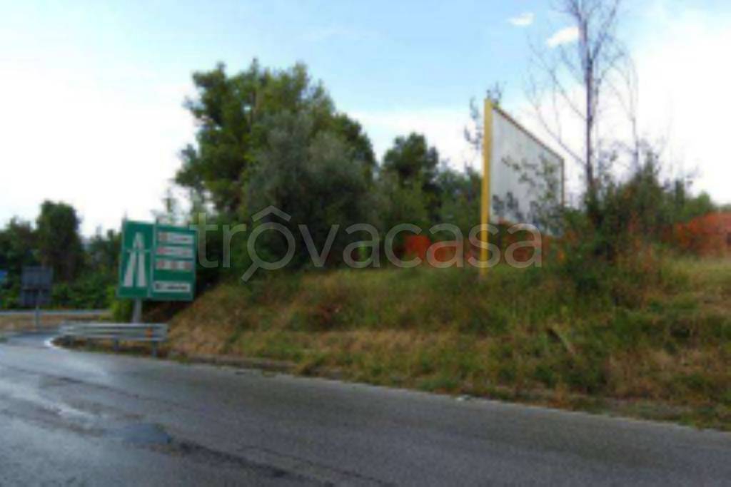 terreno agricolo in vendita a Maltignano in zona Caselle