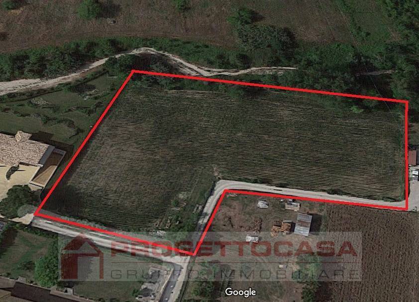 casa indipendente in vendita a Maltignano