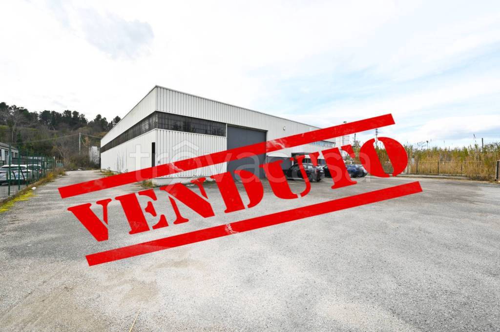 locale commerciale in vendita a Maltignano