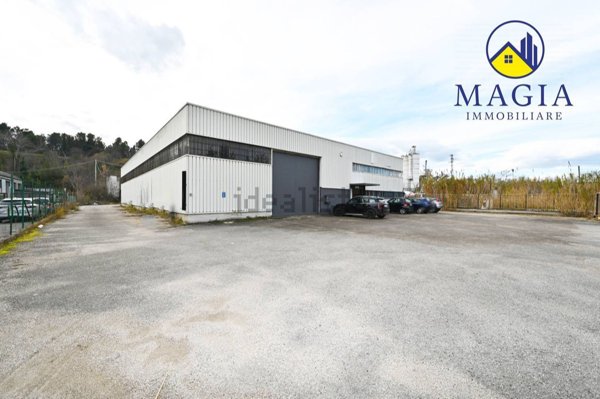 capannone in vendita a Maltignano