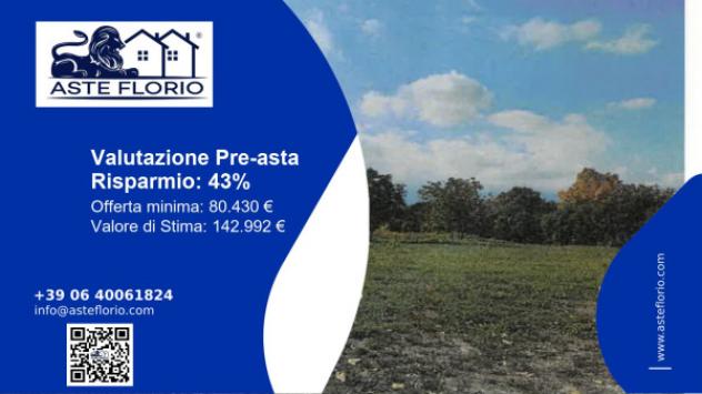 terreno agricolo in vendita a Maltignano