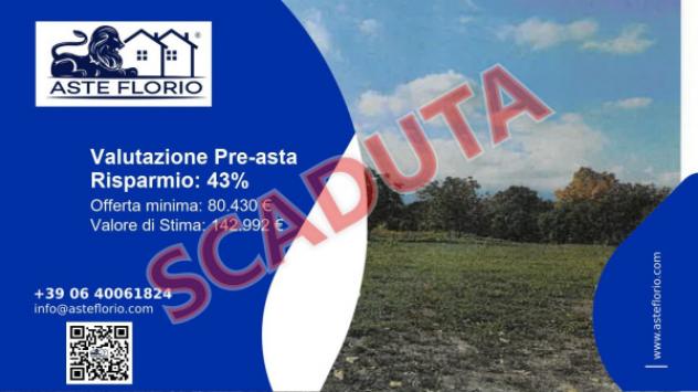 terreno agricolo in vendita a Maltignano
