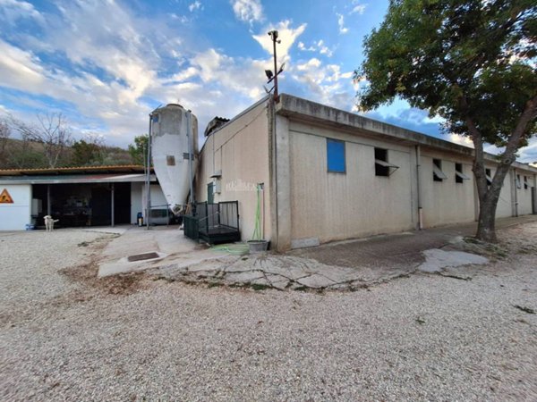 negozio in vendita a Maltignano