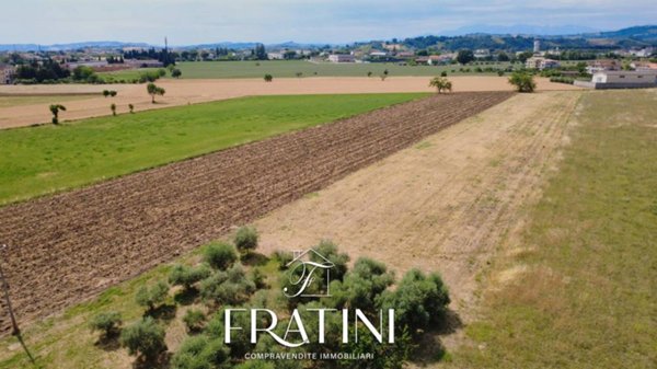 terreno agricolo in vendita a Maltignano in zona Caselle