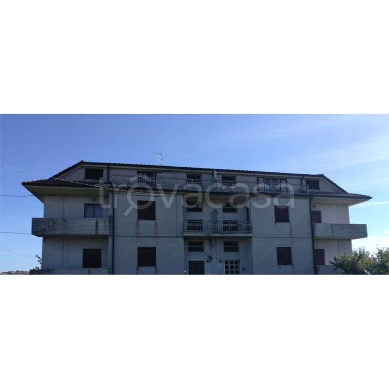 terreno agricolo in vendita a Maltignano