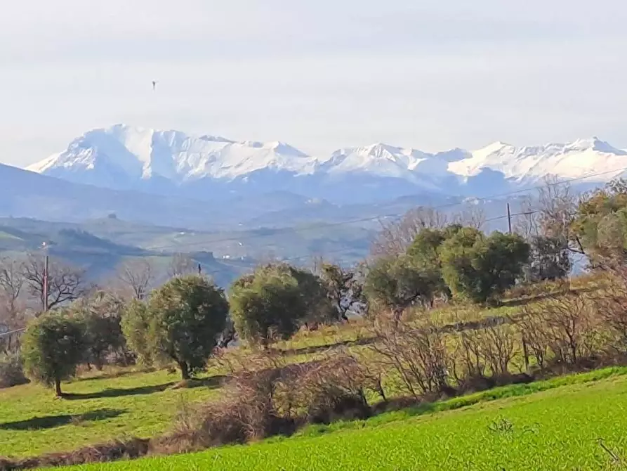 appartamento in vendita a Massignano