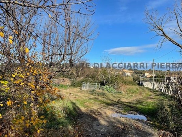 terreno agricolo in vendita a Massignano