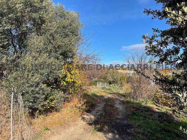 terreno agricolo in vendita a Massignano