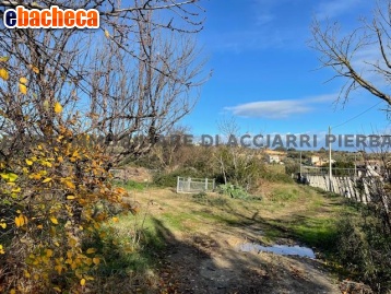 terreno agricolo in vendita a Massignano