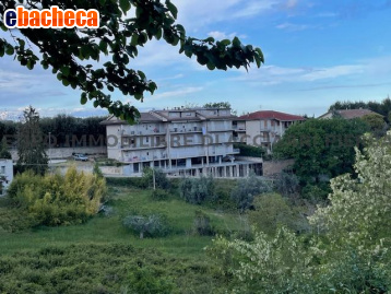 appartamento in vendita a Massignano