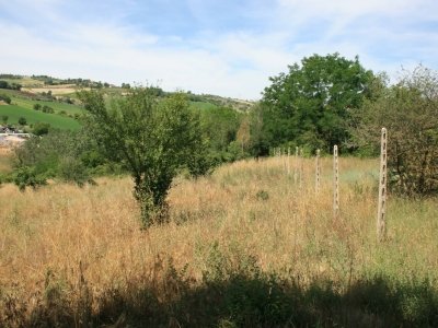terreno agricolo in vendita a Massignano