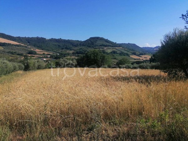 terreno agricolo in vendita a Massignano
