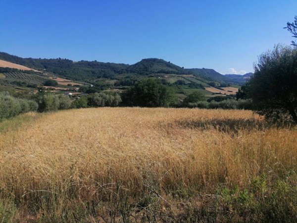 terreno agricolo in vendita a Massignano