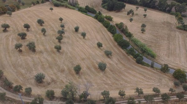 terreno agricolo in vendita a Massignano