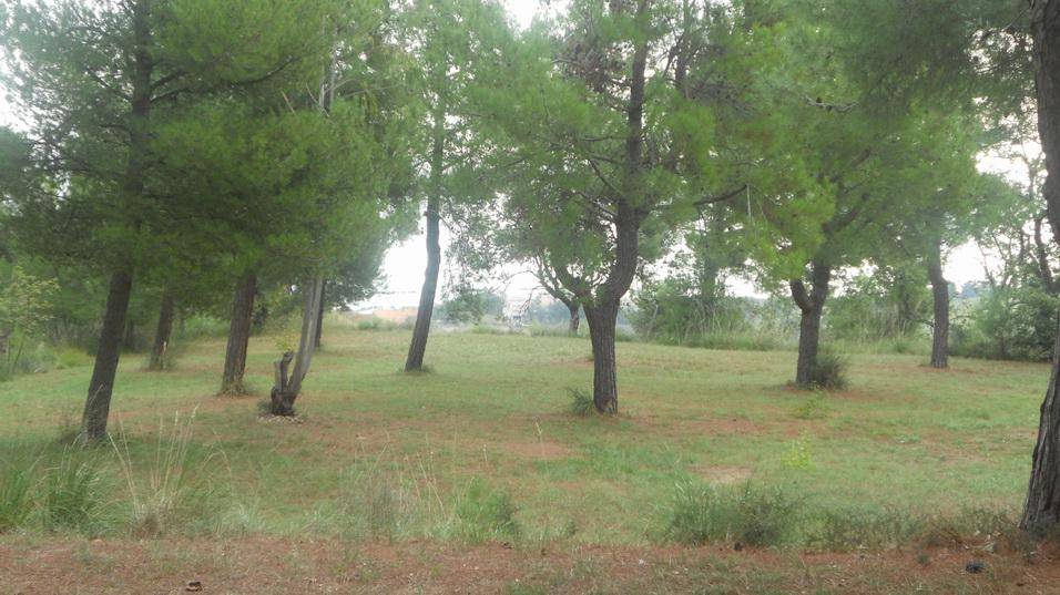 casa indipendente in vendita a Massignano