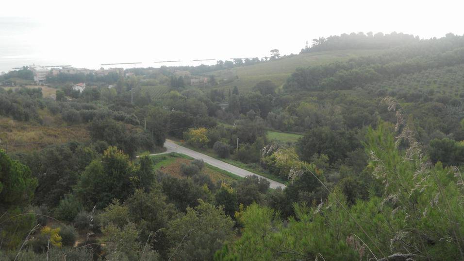 casa indipendente in vendita a Massignano