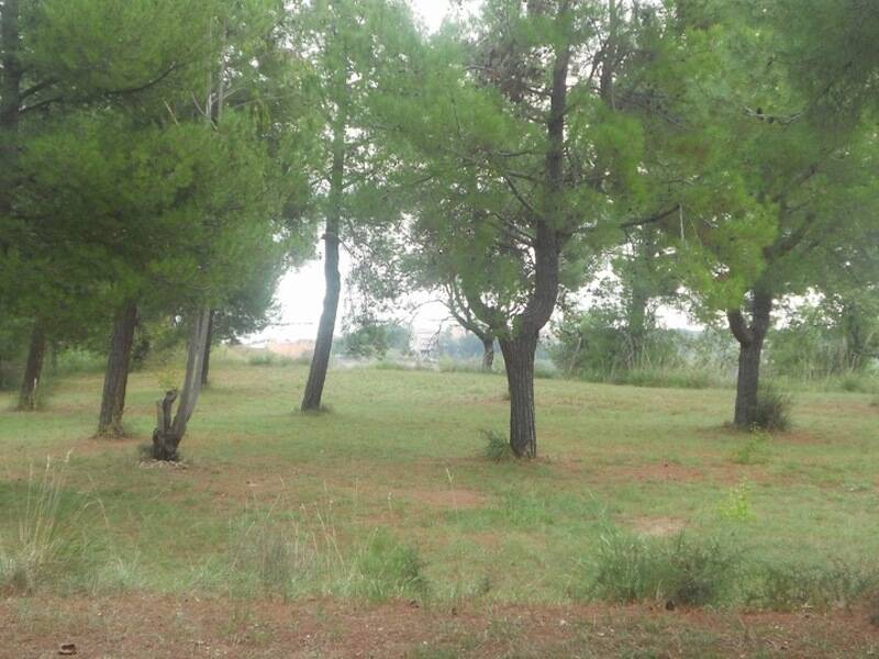 casa indipendente in vendita a Massignano