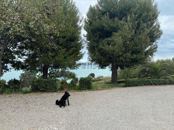 casa indipendente in vendita a Massignano