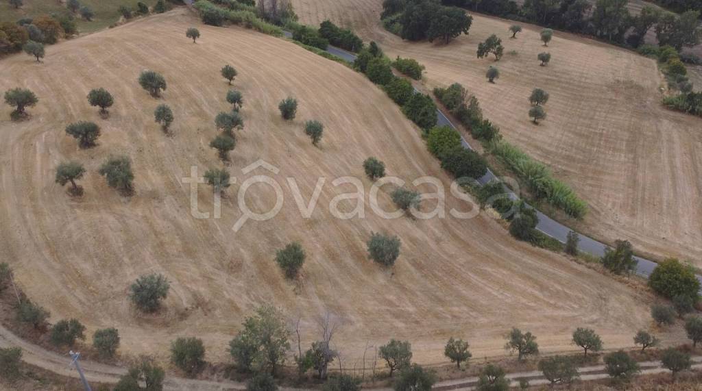 terreno agricolo in vendita a Massignano