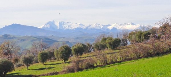 appartamento in vendita a Massignano