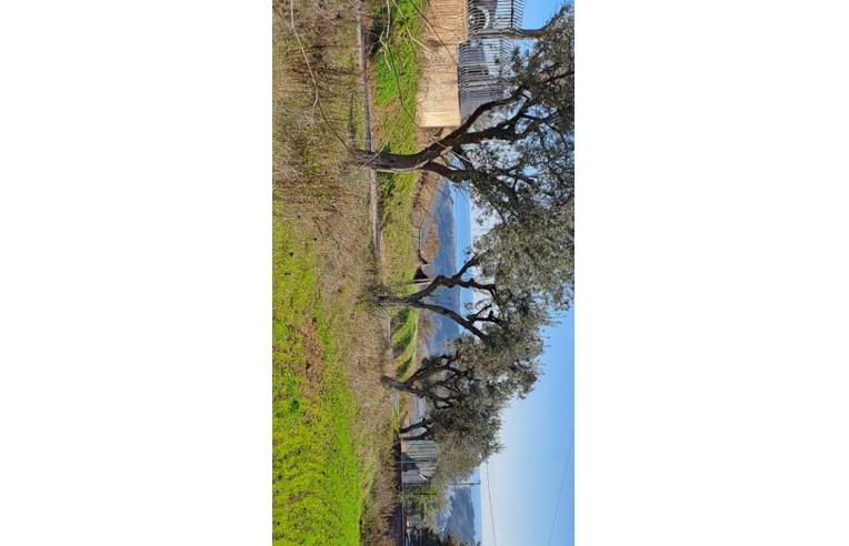 casa indipendente in vendita a Massignano